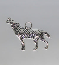 Load image into Gallery viewer, Wolf, Coyote, Dog, Halloween, Ware wolf,