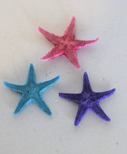 Load image into Gallery viewer, Starfish, Tiny Starfish, Ocean, Sea, Beach
