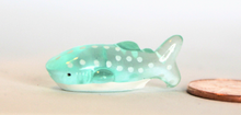 Load image into Gallery viewer, Blue Whale Shark, Miniature Shark