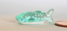 Load image into Gallery viewer, Blue Whale Shark, Miniature Shark