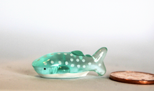 Load image into Gallery viewer, Blue Whale Shark, Miniature Shark
