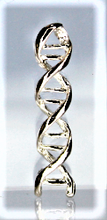 Load image into Gallery viewer, DNA, Double Helix