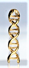 Load image into Gallery viewer, DNA, Double Helix