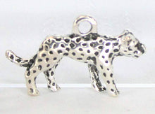 Load image into Gallery viewer, Leopard, Cheetah, Jaguar charms