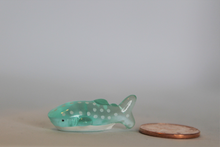 Load image into Gallery viewer, Blue Whale Shark, Miniature Shark