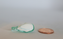 Load image into Gallery viewer, Blue Whale Shark, Miniature Shark