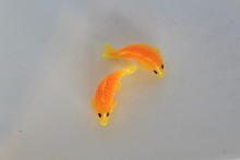 Load image into Gallery viewer, Gold Fish, Miniature, Chubby Gold Fish,