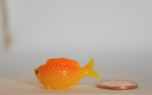 Load image into Gallery viewer, Gold Fish, Miniature, Chubby Gold Fish,