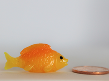 Load image into Gallery viewer, Gold Fish, Miniature GoldFish,