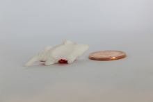 Load image into Gallery viewer, Fish, Miniature Koi