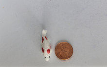 Load image into Gallery viewer, Fish, Miniature Koi