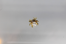 Load image into Gallery viewer, Nail Charms, Spider, Halloween, Rhinestone