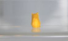 Load image into Gallery viewer, Hamster, Miniature Pet Rodent