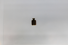 Load image into Gallery viewer, Nail Charms, Five