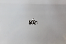 Load image into Gallery viewer, 2021 Charms