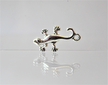 Load image into Gallery viewer, Lizard, Iguana, Gecko Charms