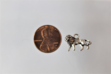 Load image into Gallery viewer, Lion