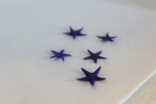 Load image into Gallery viewer, Starfish, Tiny Starfish, Ocean, Sea, Beach