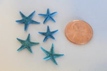 Load image into Gallery viewer, Starfish, Tiny Starfish, Ocean, Sea, Beach