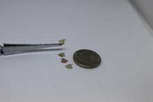 Load image into Gallery viewer, Nail Decals, Fish - 10 Decals for 99 cents