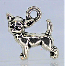Load image into Gallery viewer, Dog, Chihuahua,