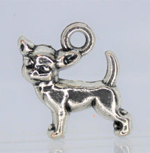 Load image into Gallery viewer, Dog, Chihuahua,