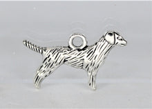 Load image into Gallery viewer, Dog, Setter, Pointer