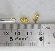 Load image into Gallery viewer, Nail Charms, Rose - 5 Pieces for 99 cents