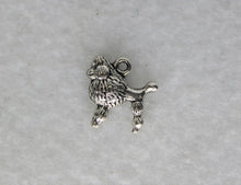 Load image into Gallery viewer, Dog, Poodle