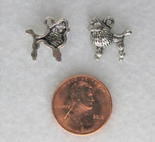 Load image into Gallery viewer, Dog, Poodle