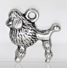 Load image into Gallery viewer, Dog, Poodle