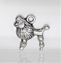 Load image into Gallery viewer, Dog, Poodle