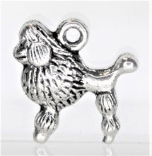 Load image into Gallery viewer, Dog, Poodle