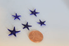 Load image into Gallery viewer, Starfish, Tiny Starfish, Ocean, Sea, Beach