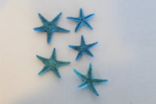 Load image into Gallery viewer, Starfish, Tiny Starfish, Ocean, Sea, Beach