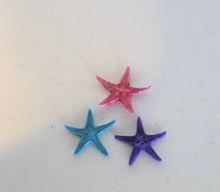 Load image into Gallery viewer, Starfish, Tiny Starfish, Ocean, Sea, Beach