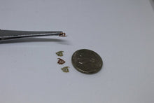 Load image into Gallery viewer, Nail Decals, Fish - 10 Decals for 99 cents