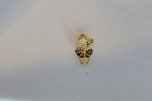 Load image into Gallery viewer, Cactus Charms, Tiny Cactus Charms