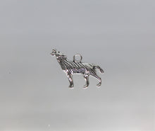 Load image into Gallery viewer, Wolf, Coyote, Dog, Halloween, Ware wolf,