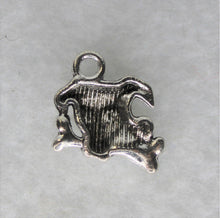 Load image into Gallery viewer, Dog, Mutt, Bone, Shepard