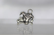 Load image into Gallery viewer, Dog, Mutt, Bone, Shepard