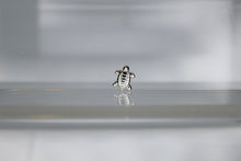 Load image into Gallery viewer, Nail Charms, Turtle