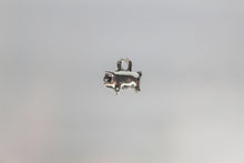Load image into Gallery viewer, Pig Charms, These piggy charms are really cute. The chubby piggy is looking for a bite to eat. He is really tiny. Take a look.
