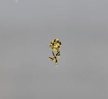 Load image into Gallery viewer, Nail Charms, Rose - 5 Pieces for 99 cents