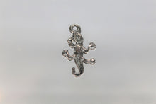 Load image into Gallery viewer, Lizard, Iguana, Gecko Charms,