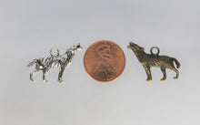 Load image into Gallery viewer, Wolf, Coyote, Dog, Halloween, Ware wolf,