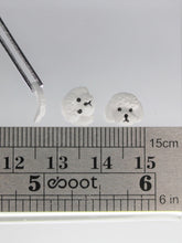 Load image into Gallery viewer, Nail Charms, Dog, Poodle