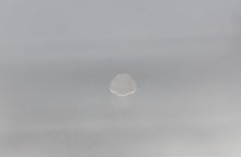 Load image into Gallery viewer, Nail Charms, Dog, Poodle