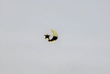 Load image into Gallery viewer, Nail Charms, Moon