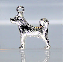 Load image into Gallery viewer, Dog, Akita, Husky